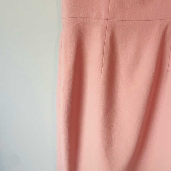 Dress the Population Blush Pink Sheath Dress - Picture 4 of 8